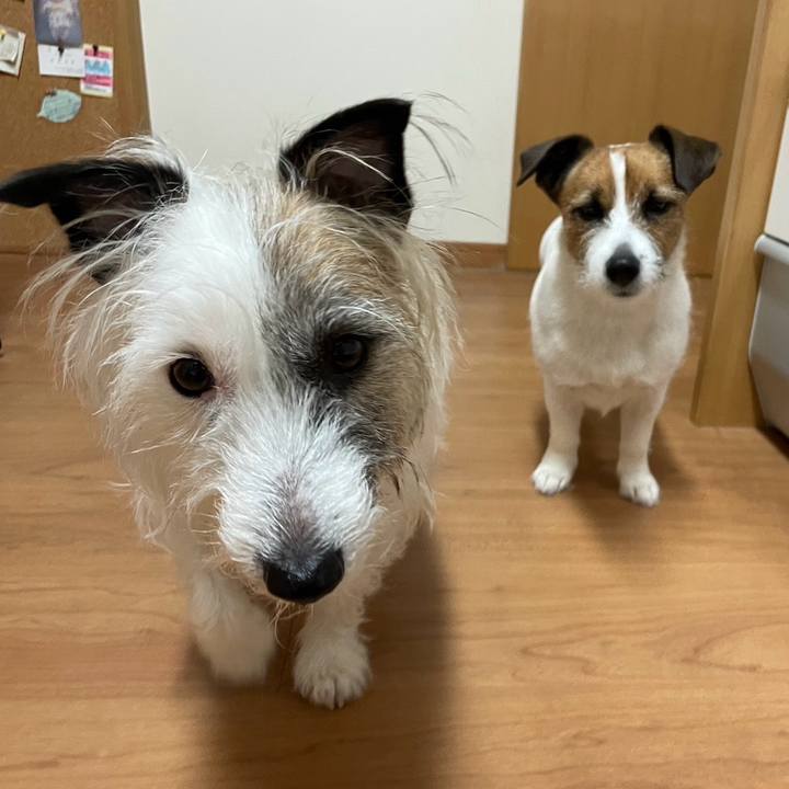 509d3f74 205e 49da 8a31 6b1b0b6f8cb2 1709509332234