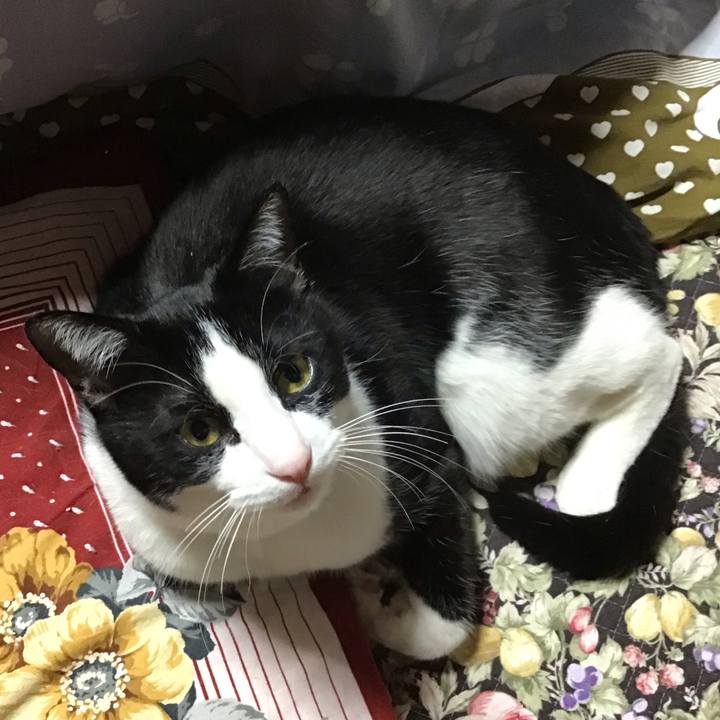 509d49bb cc6c 49b5 b5ca a5c5582a2107 1678788304615