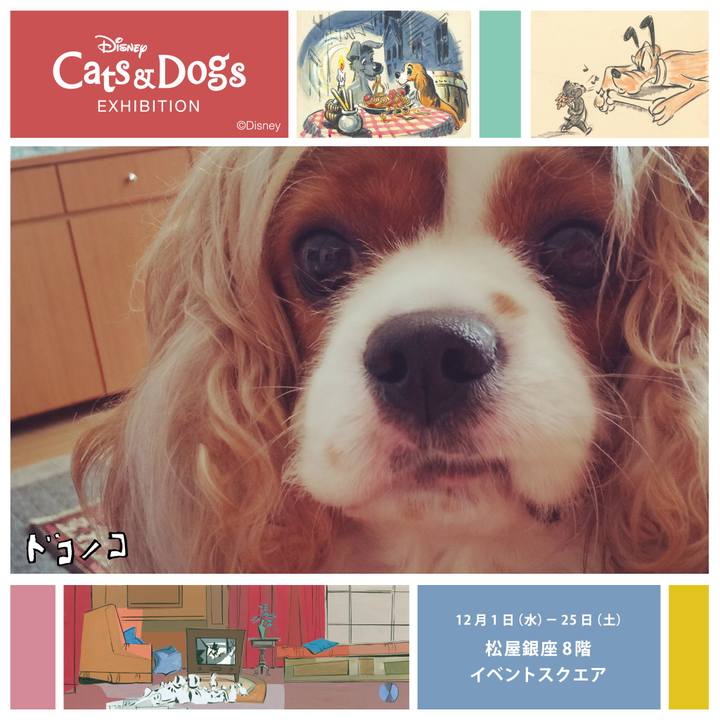 509d9587 f226 406f 8a79 b75095874ceb 1640062024647