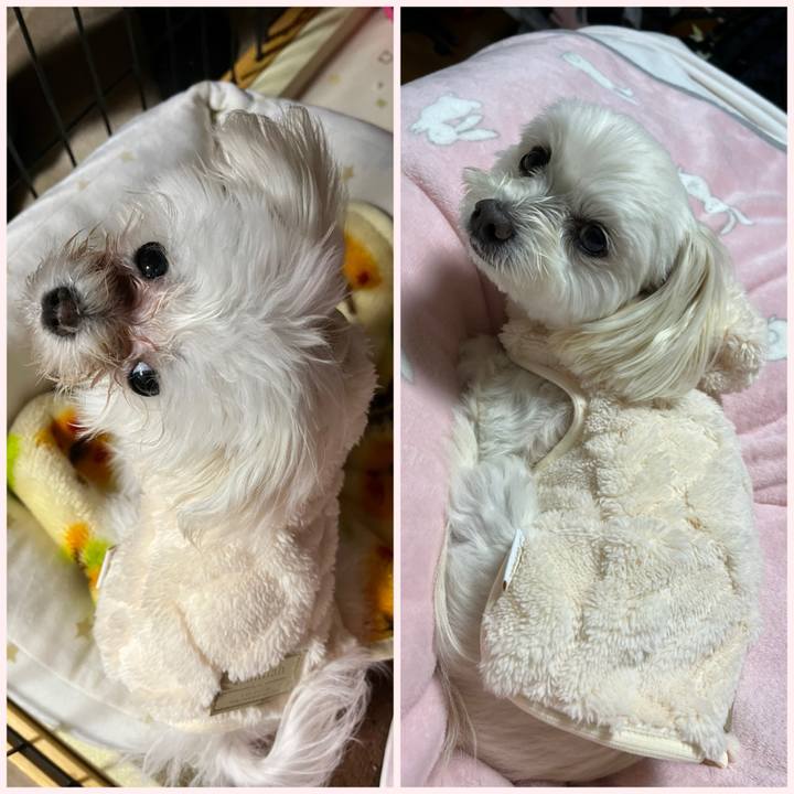 509dba38 f533 454a 849a 82136f172a3a 1706532093773