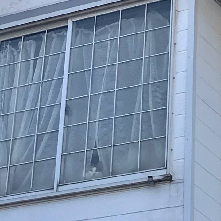 509de2b2 c771 4965 9398 9940fa515379 1526135012121