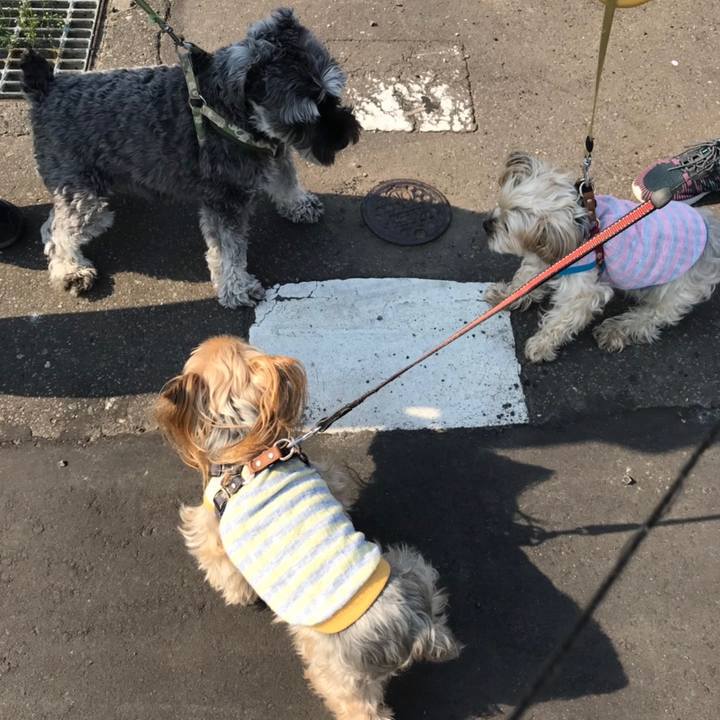 509dee01 8030 4808 be74 f048163f5aa2 1557372629059