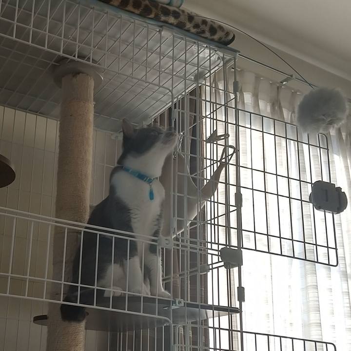 509df08a a830 47ab 83d9 ac0a9422c5b4 1639211312083