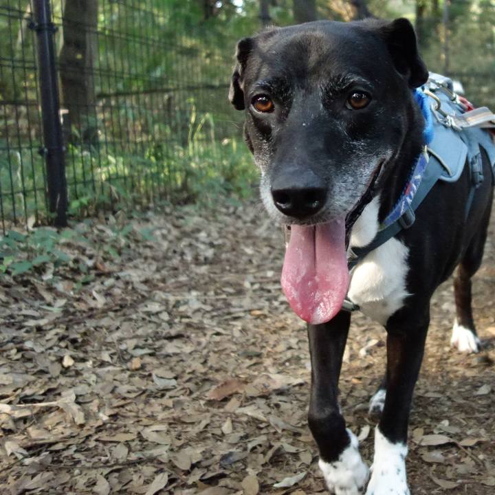 509df1bc 7dca 425e b91e 7792602c46ca 1725668349426