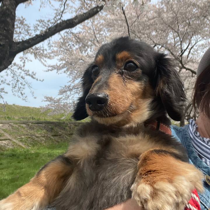 509df3f6 ae5f 4d8c a8a4 f137af121916 1619233491318