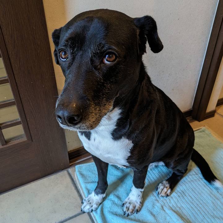 509df6e9 2efc 4915 aec9 4315805e510d 1711071608865