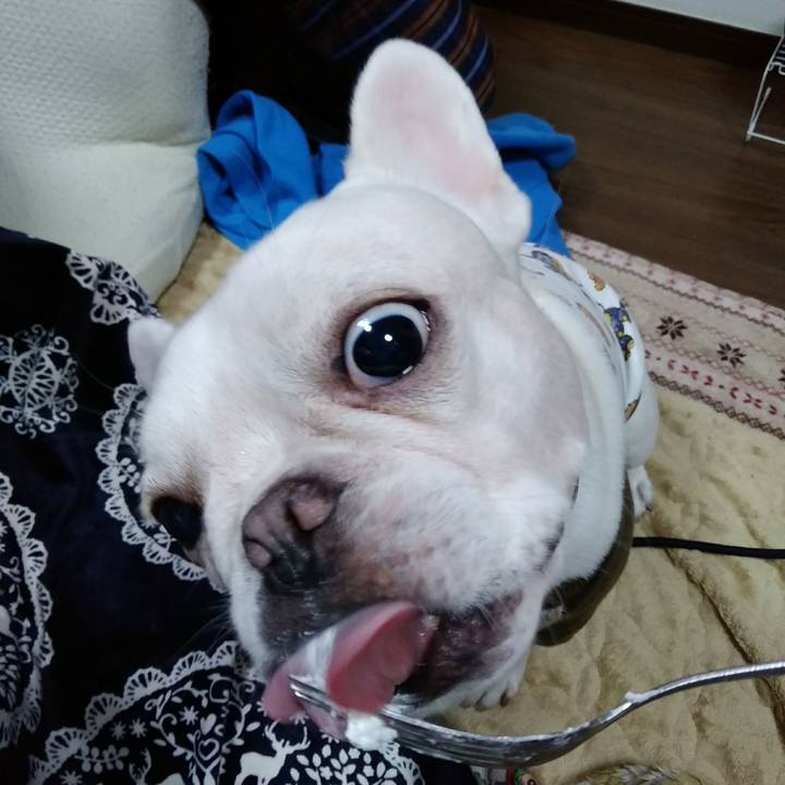 509e223a ea3d 4f31 8815 f6a4eaa35f0a 1577351741152