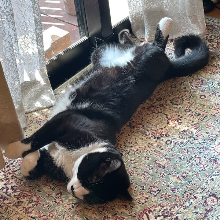 509e5b74 6c70 4a84 88ec 42dd4362d0b7 1726186139431