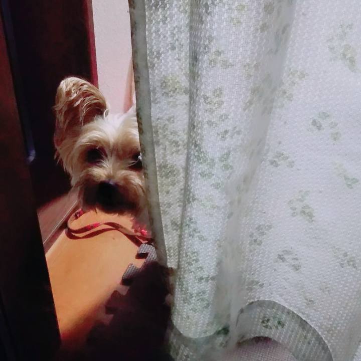 509e89f2 477b 4bc0 a2fe 9f5248d477e0 1666691262622