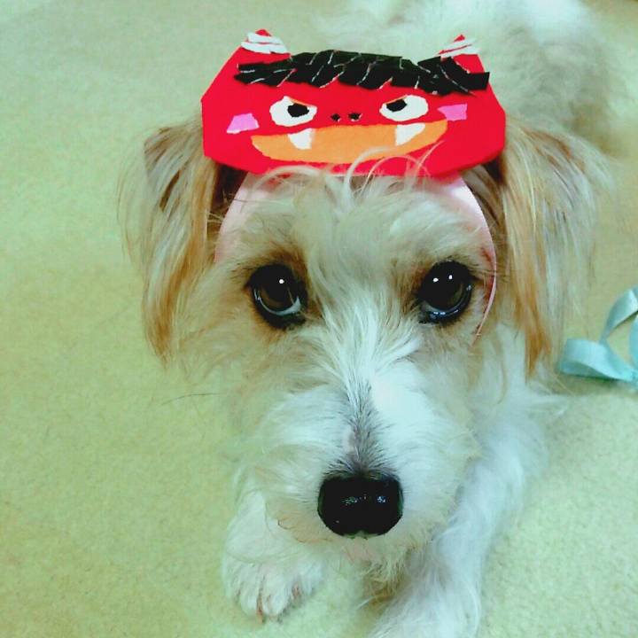 509e94d9 ec04 41d8 aaa8 d8fc74c74e5c 1517666634187