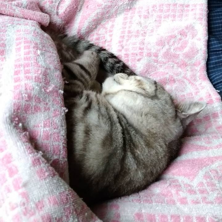 509ec3ee dc6f 4b21 8bc5 df33cb231f28 1620218604750