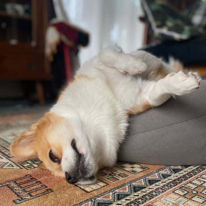 509eef52 89f0 4a6c 97c5 4b6cfb350266 1631086283200