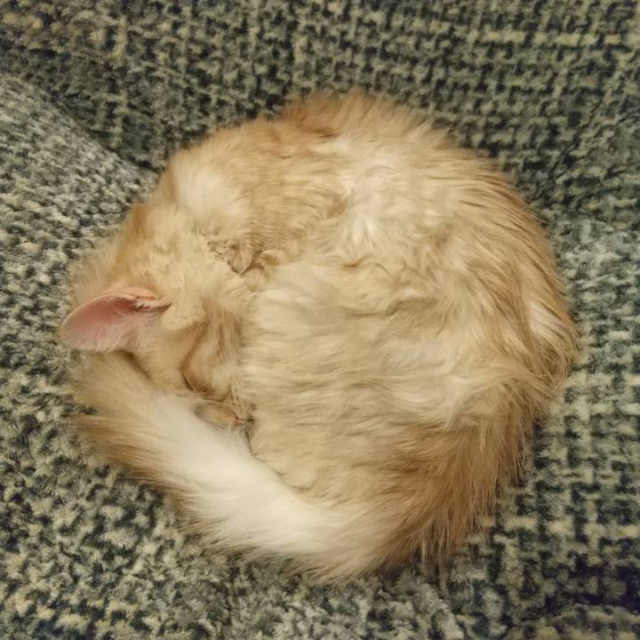 509ef59a 9268 49a2 ab97 b0666b59f364 1612104218971