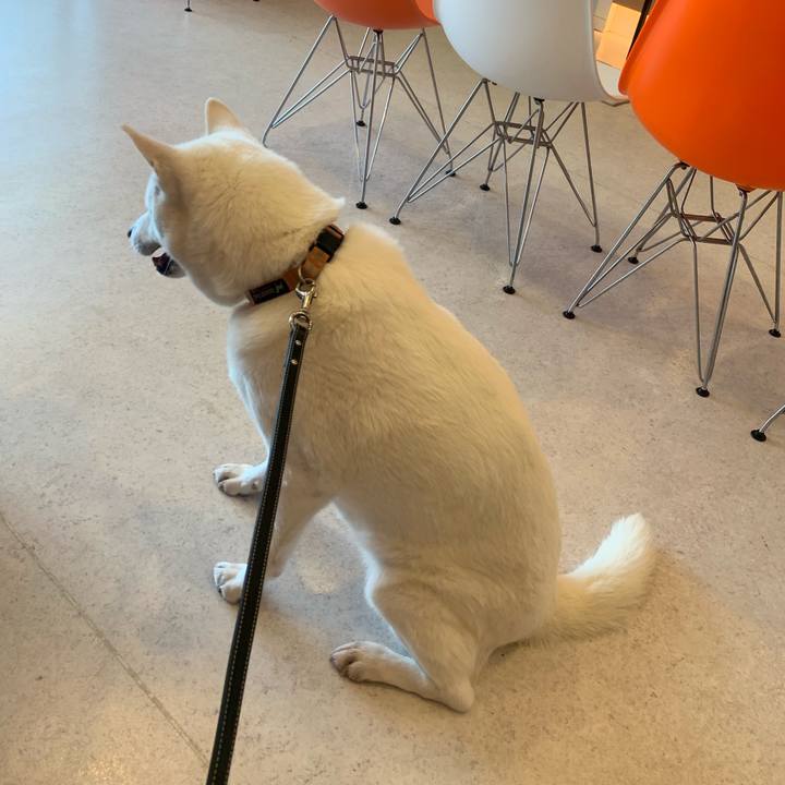 509efcdd 3bca 43c0 ad8d b38c58eb03c3 1556965273275