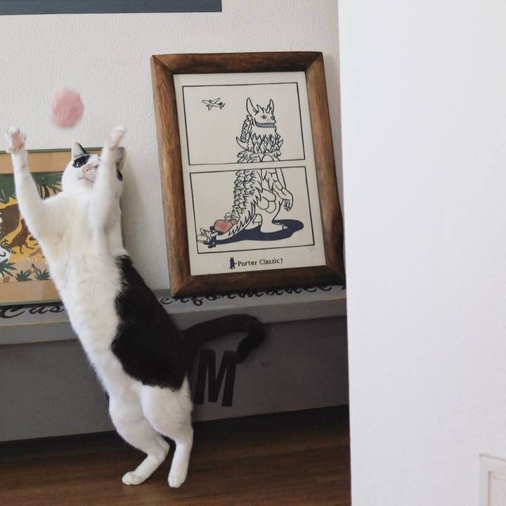 509f06b9 a9e9 4c8d bf14 2b98b212e9c7 1607738248466