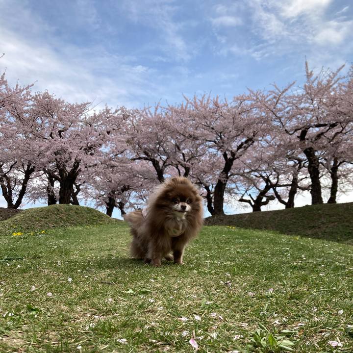 509f3707 768b 41f8 a6e3 16ef6c060257 1714387752969