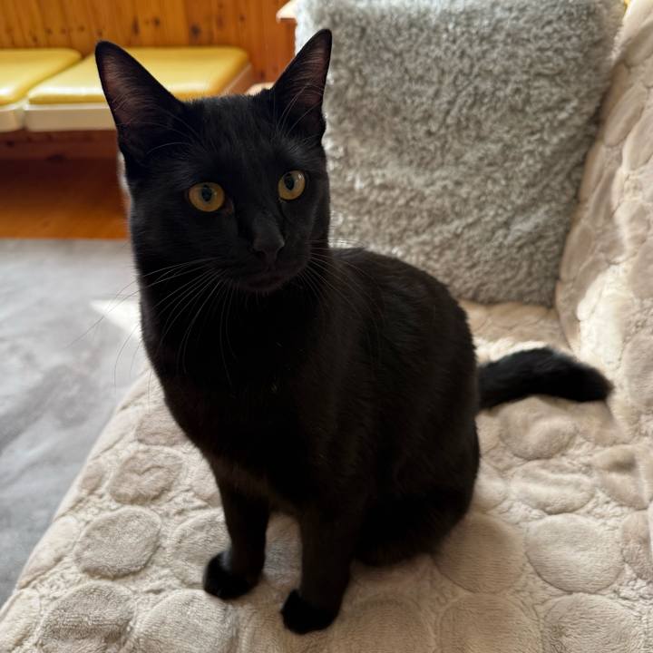 509f5243 4e45 4728 a042 3389f146b9fd 1773543235719