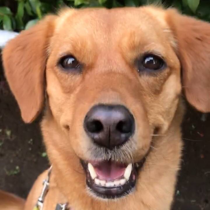 509f6c25 72b9 41e3 9dfd a86a9efdeca5 1524210337207