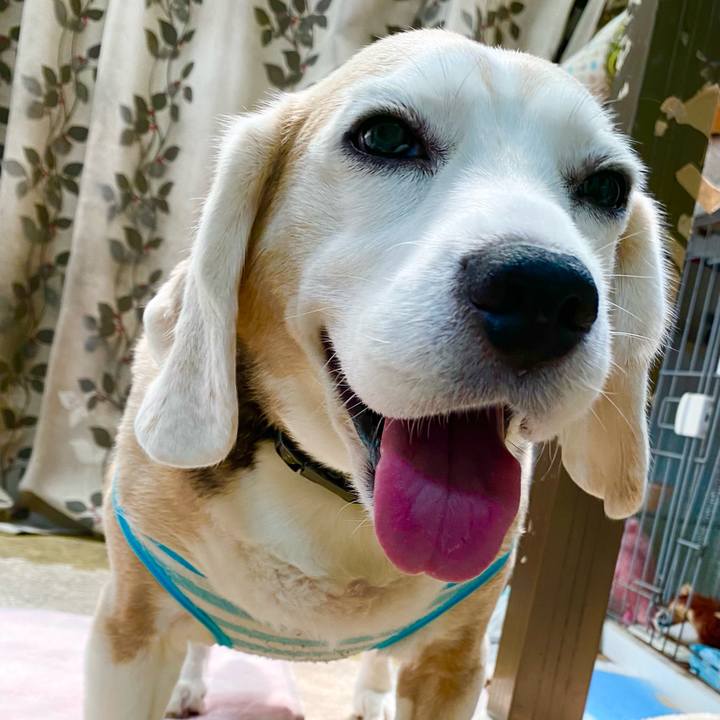 509fddd2 7f02 4315 a473 86f348f82340 1657168003181