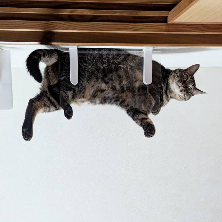 509fecf9 f5b3 4111 933d 32b808a096e5 1725793837396