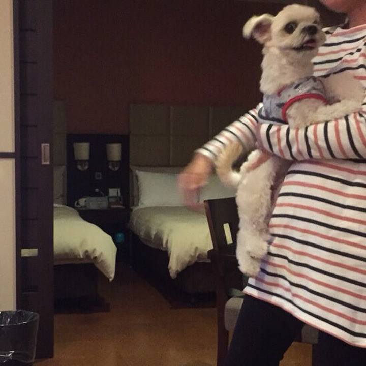 509ff36e ab51 450a 8729 e8c7c4d99146 1509536774569