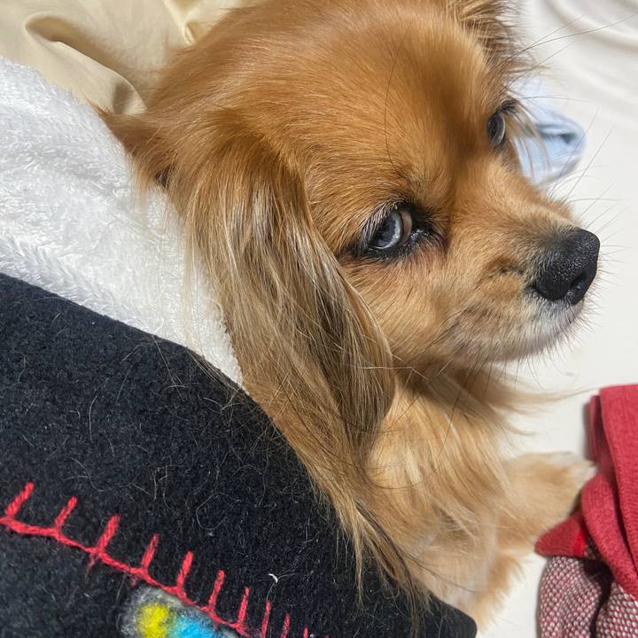 50a042fd 24ff 4fa7 b9dc 1f9b8f27fbbf 1642281981644