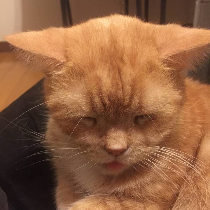 50a0c1ab b8cd 49ec b23d 065c9a1c1f83 1571916163790