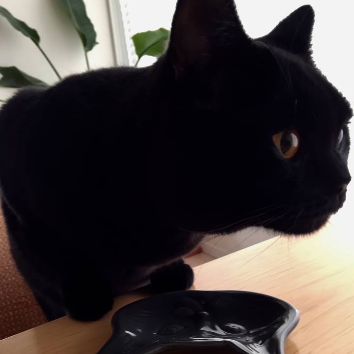 50a0ea54 5d9b 41d4 a802 bf7f6a86c328 1514272102153