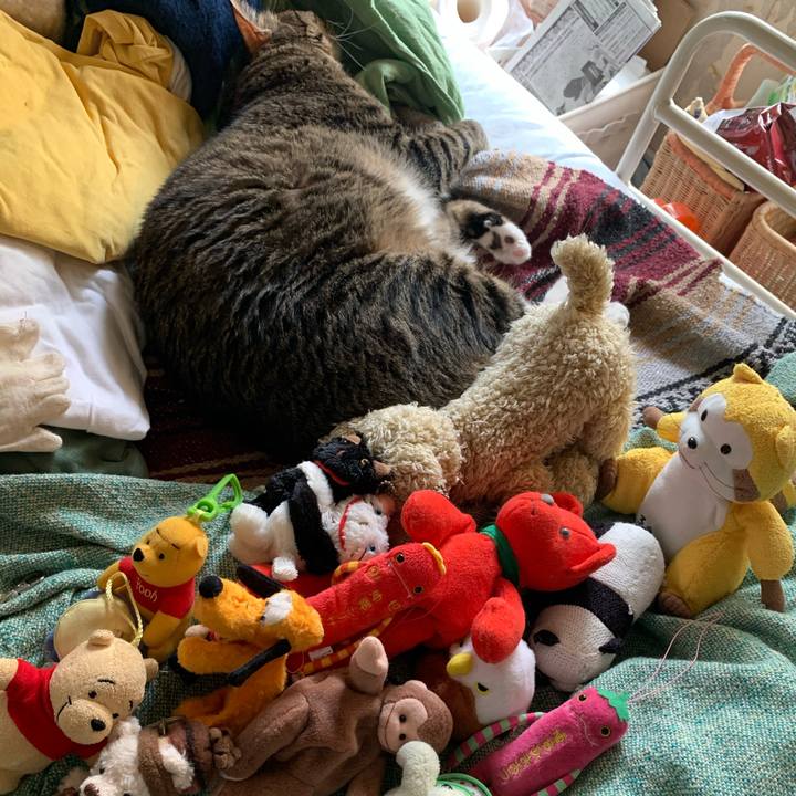 50a11c35 827a 445d b535 ba6e70309007 1589510702461