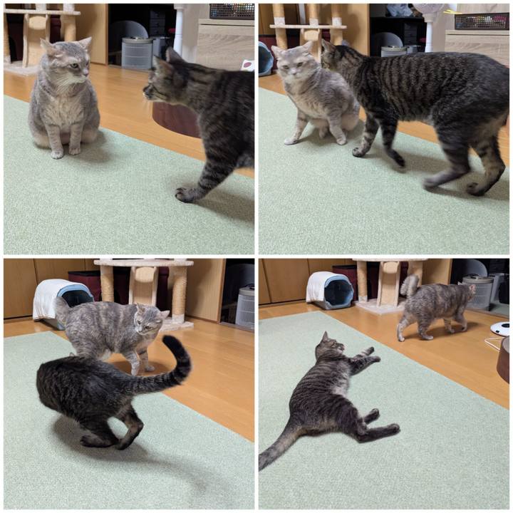 50a12209 e73e 4bcf b77a e3867c6194b5 1762242656697