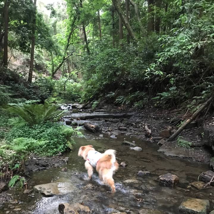 50a133ae e02e 404b bff4 0280b40d7e4b 1592777530021