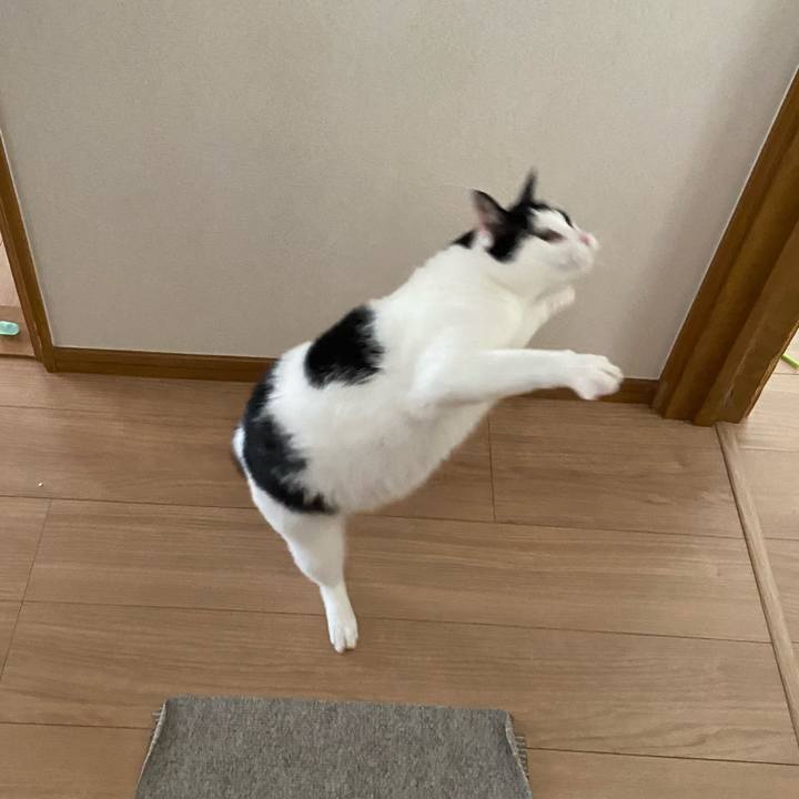 50a13ed7 ce54 44b1 a878 2f7ae67e4f1e 1586603961108