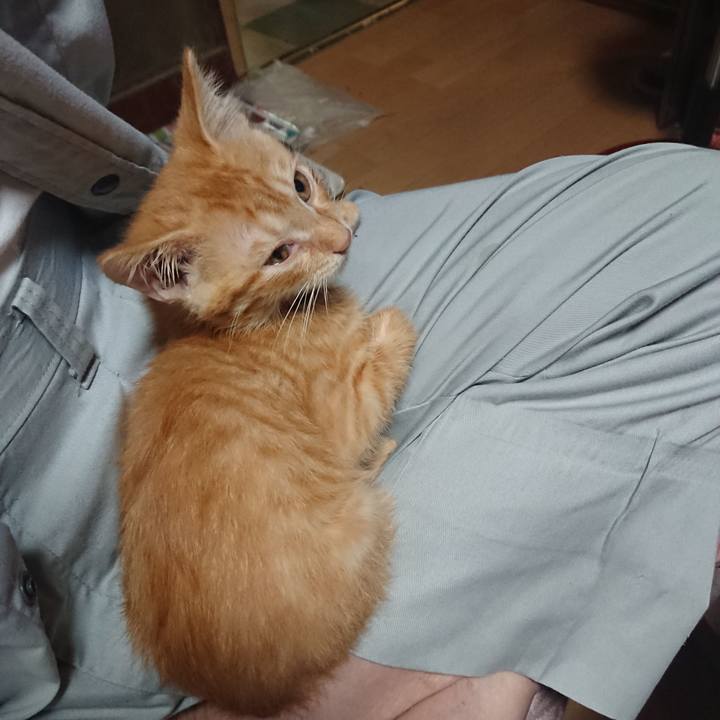 50a14eb0 4f6e 4aa5 913d d1e6cff6ba27 1630401704637