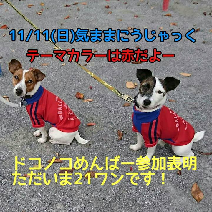 50a16201 3da9 4864 8194 6baaece48d36 1541389414358