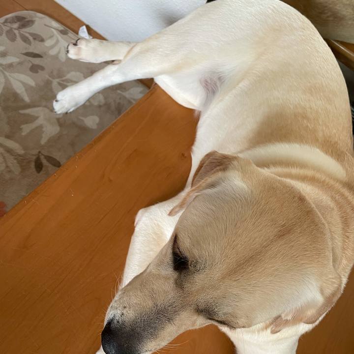 50a16ab0 0f65 4236 9a3e 75f781556549 1635053738300