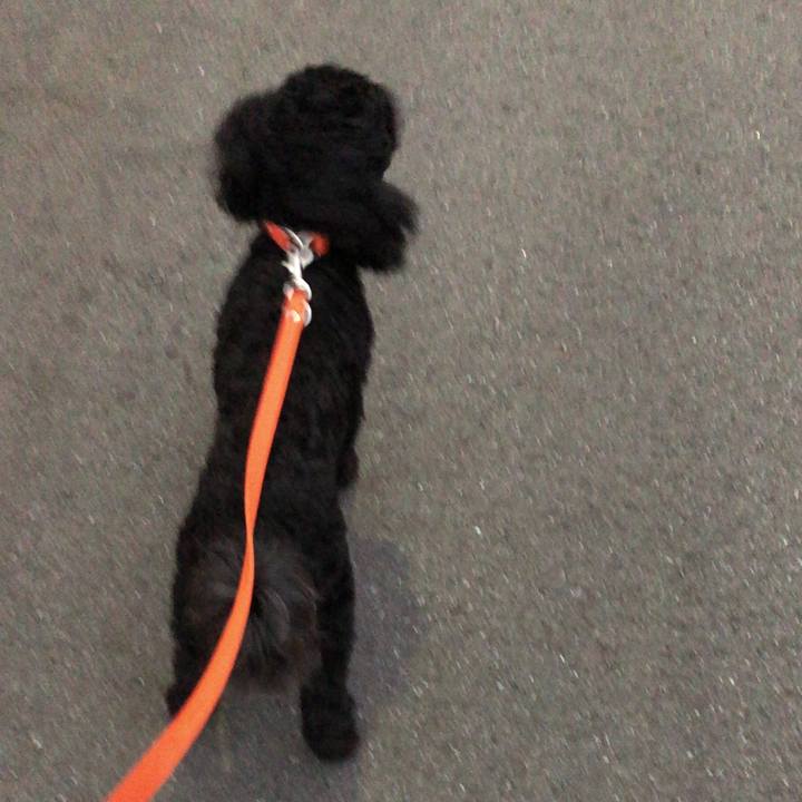 50a1a5db 06c3 4d40 a304 f34bd353e65f 1533413577629