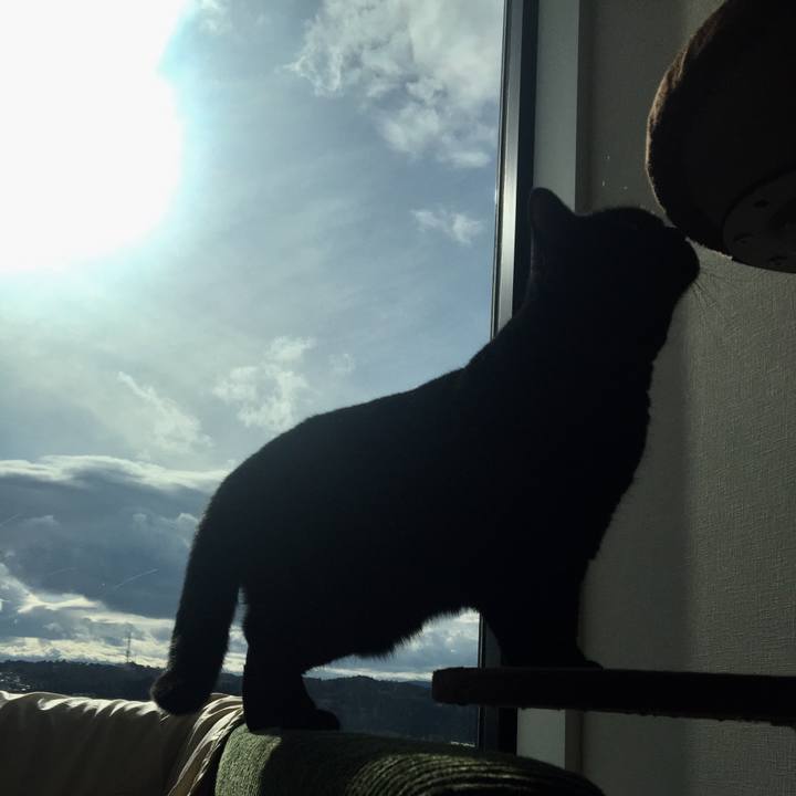 50a1d3bf f05d 4777 acfa c693c2b0cbc7 1521516858184