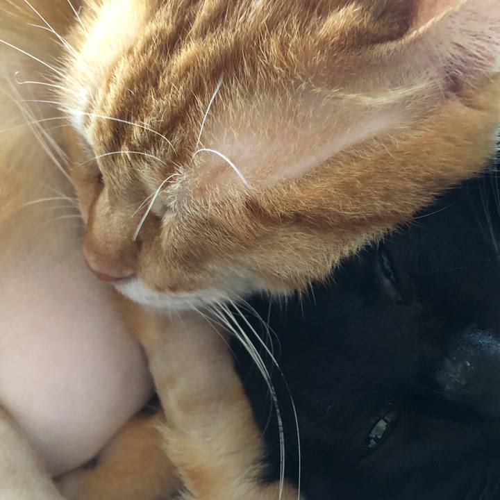 50a1dc5c 4255 4054 9365 d4d673263e82 1689375028046