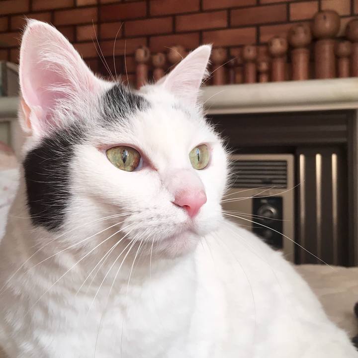 50a22b12 0127 4de7 92f2 d7835df80ad6 1575019203319