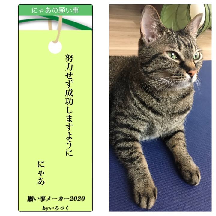 50a22e10 ff21 4ca8 bca9 19da55e180dd 1594121791134