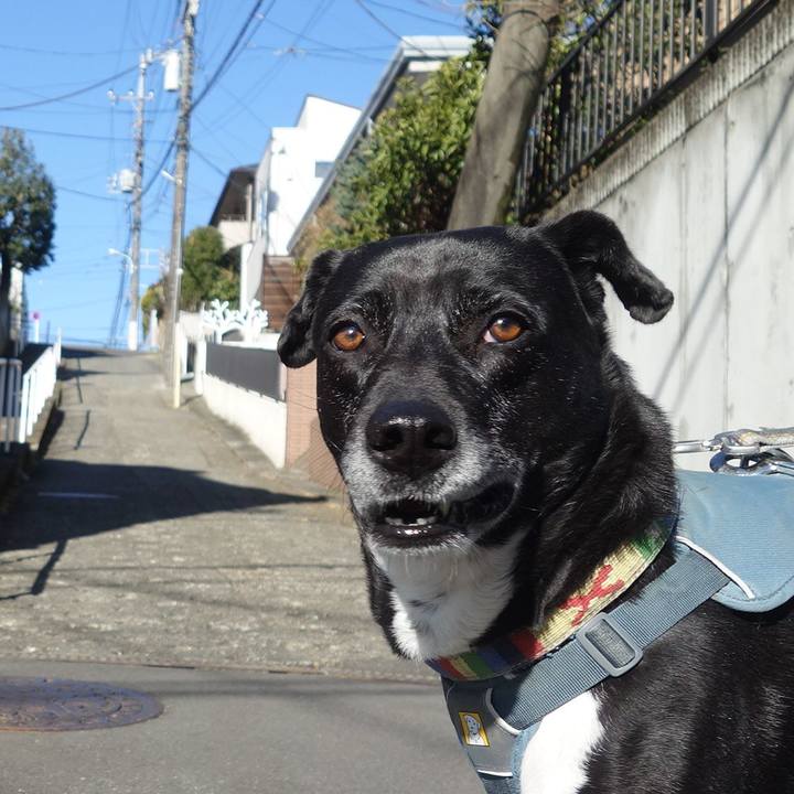 50a2642f 7b8a 47fb 99cf 72c9b9410255 1711070996996