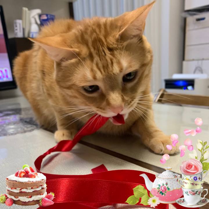 50a27520 3e67 41e6 a0db ff597d4af0ca 1615587650268