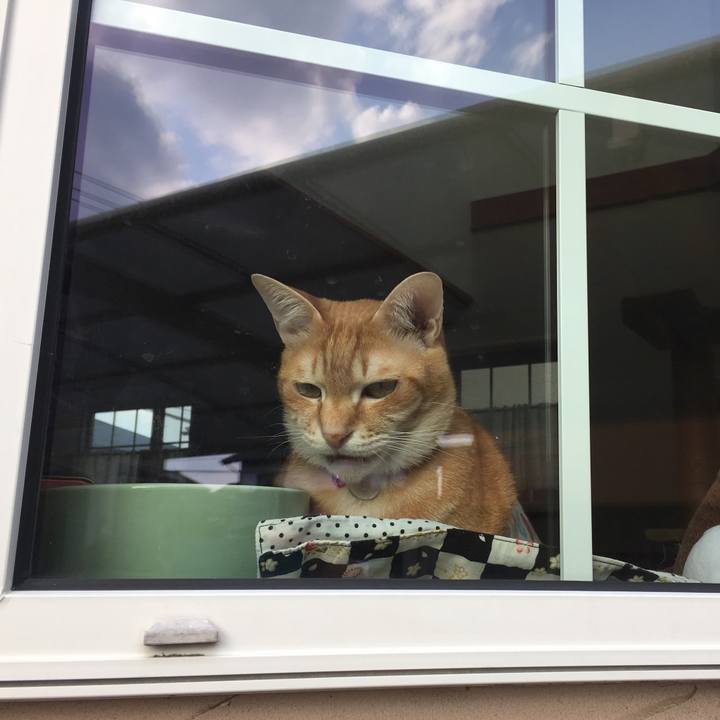 50a2c99f dd04 48ae a051 ef9e6597e028 1520934540179