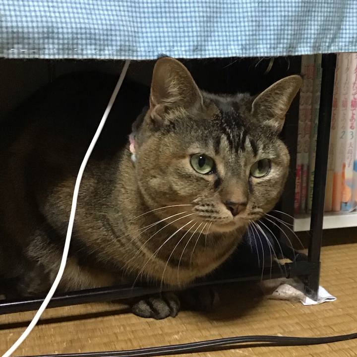 50a32d87 b1fe 45b5 8c91 18088b4bda96 1700649876794