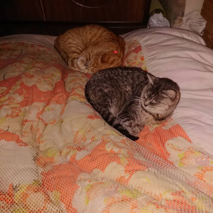 50a33ef3 3a44 4872 a122 7e73b735dd03 1577640590001