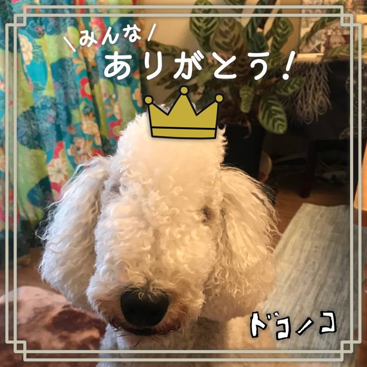 50a365a7 d618 4e94 abd8 043f5db9e11d 1622876885522