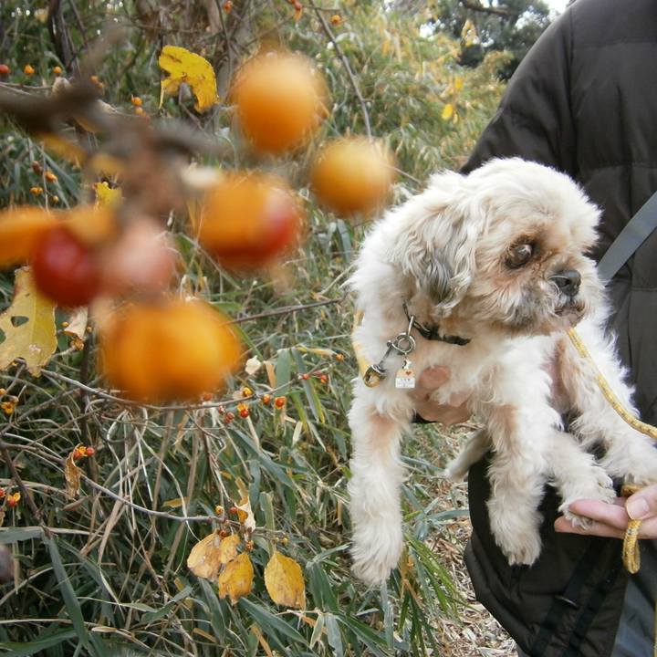 50a39953 dbf7 4748 af2c 099f8f5f376f 1511612692220