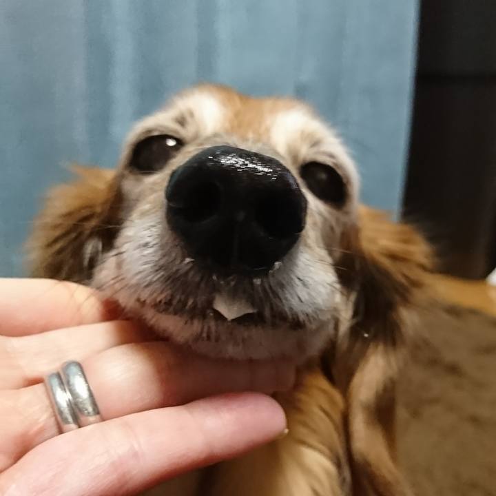 50a3be61 ca63 4c96 902e cd0cbc456b66 1517177471167