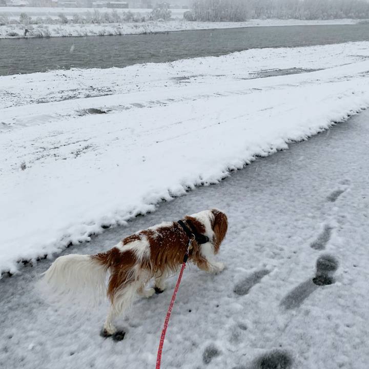 50a3c336 eb29 4d08 a046 bacce73fea58 1585431418700