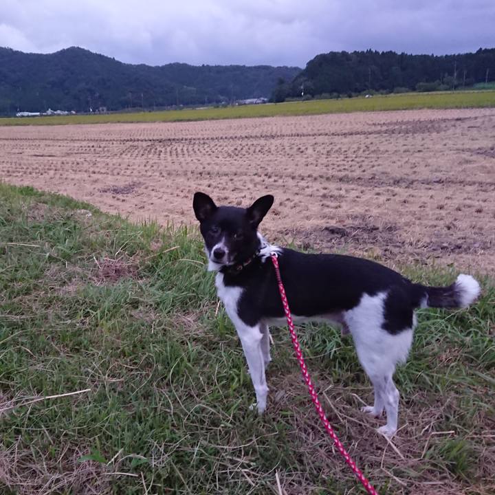 50a3c96a d1ab 46a3 bb21 3e67ed3415d5 1631099614701